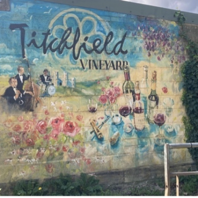 titchfield vineyard