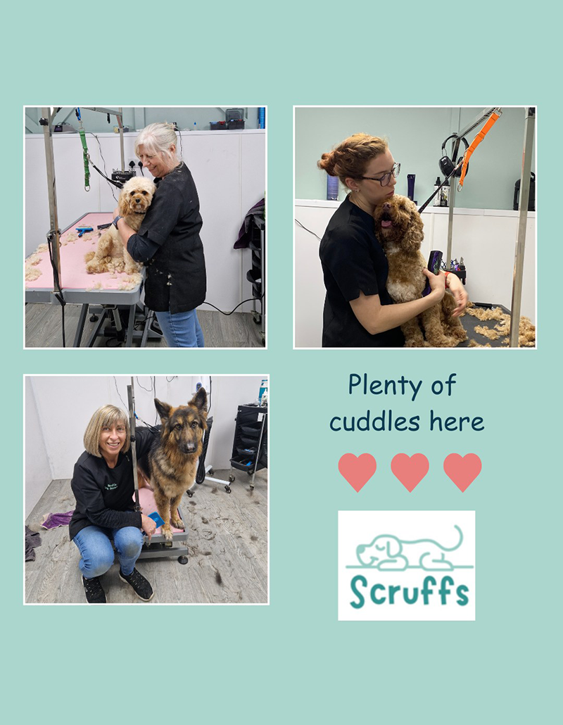 Scruffs Dog Grooming