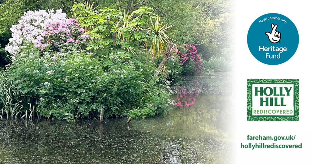 Holly Hill Rediscovered