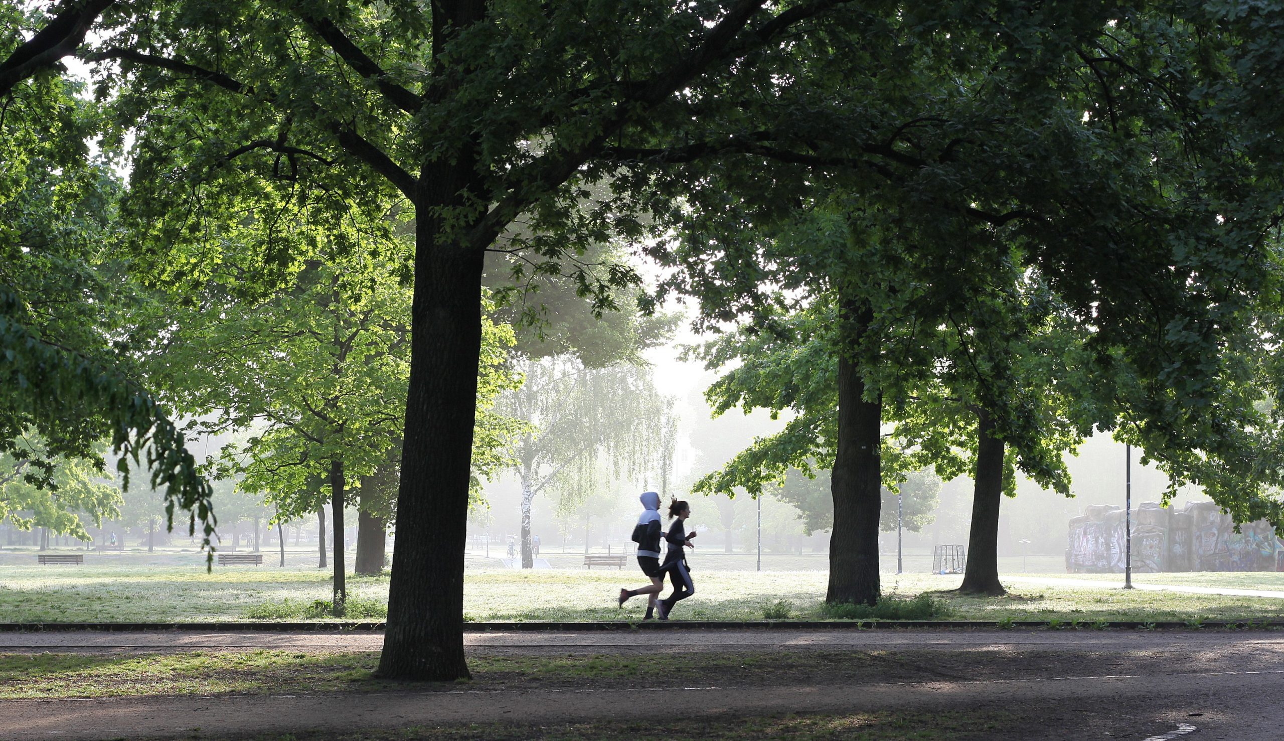 Couple running in the park