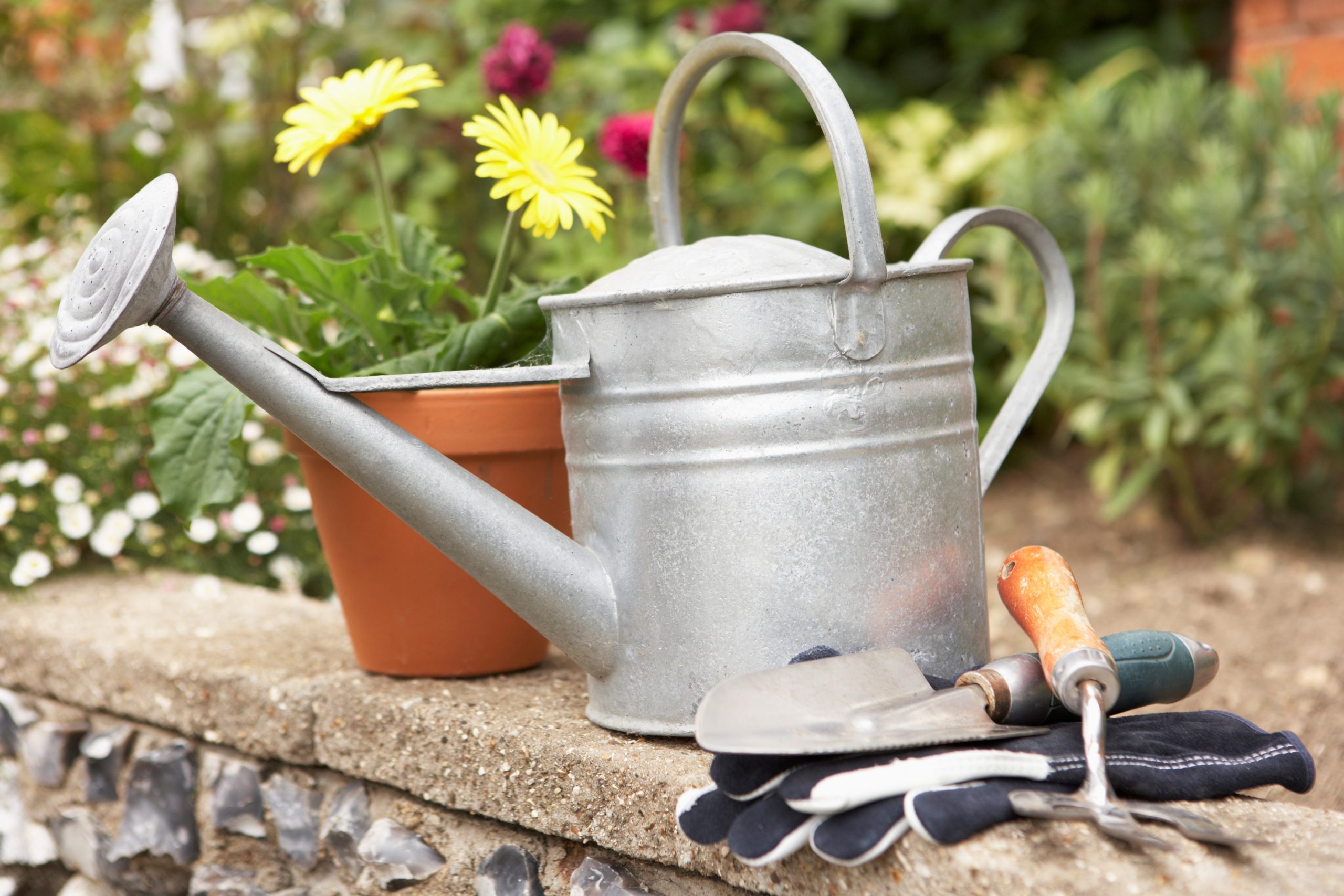 Watering can, gardening gloves and spade on a garden wall